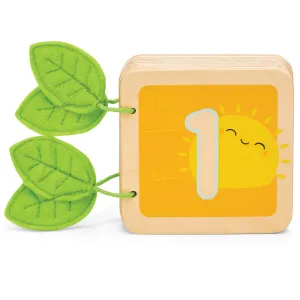 123 Numbers Counting Book