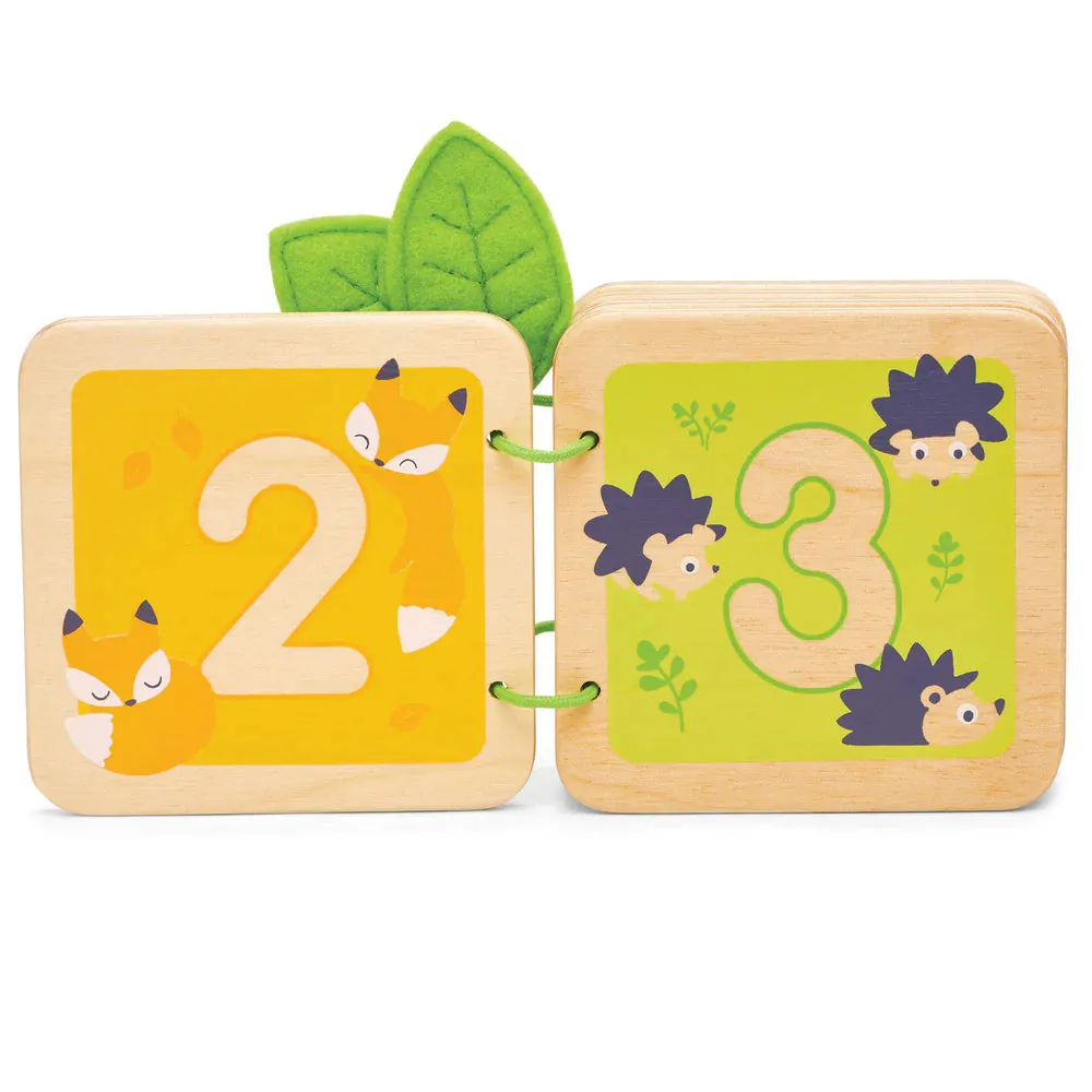 123 Numbers Counting Book