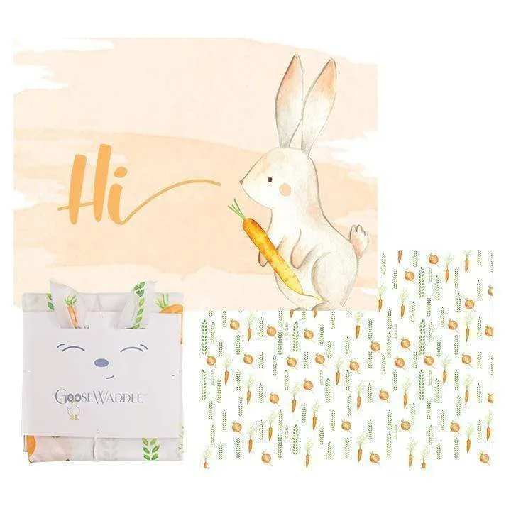 2 Pk Newborn Receiving Blankets | Baby Receiving Blankets