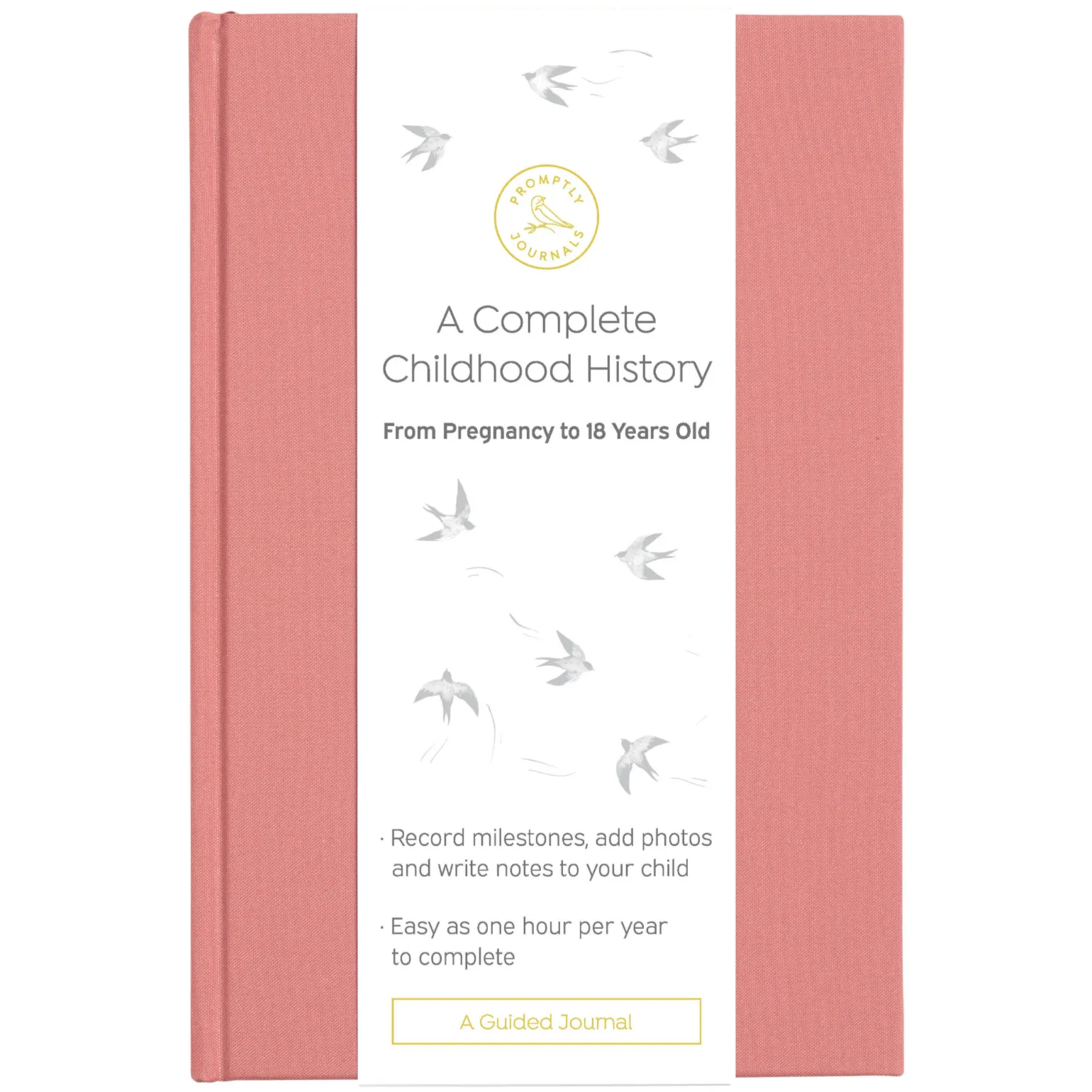 A Complete Childhood History: From Pregnancy to 18 Years Old (Dusty Rose, Linen) by Promptly Journals
