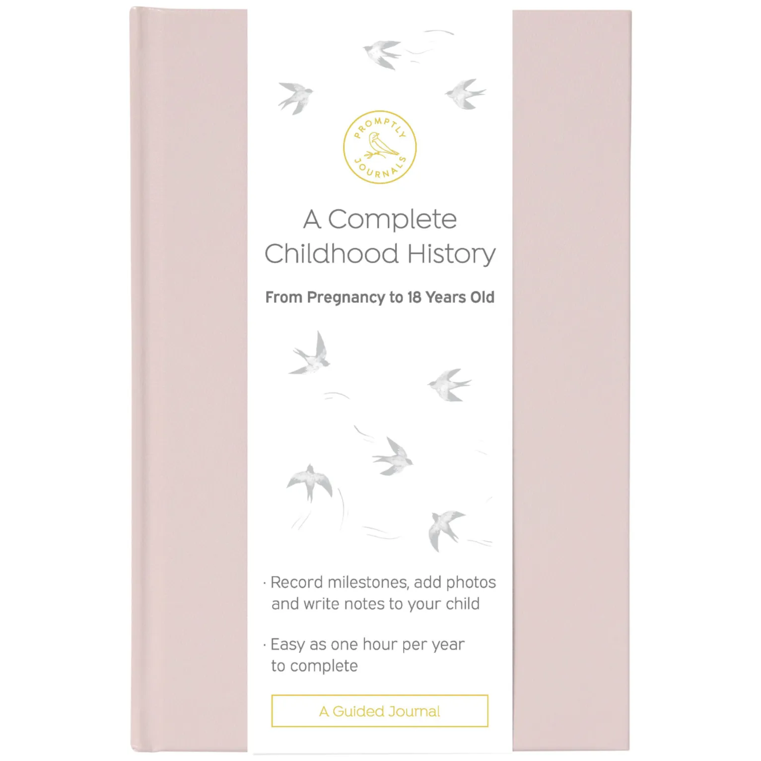 A Complete Childhood History: From Pregnancy to 18 Years Old (Powdered Lilac, Leatherette) by Promptly Journals