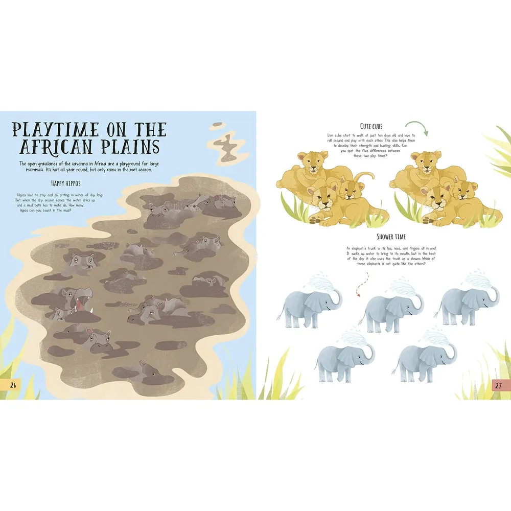 amazing nature activity book