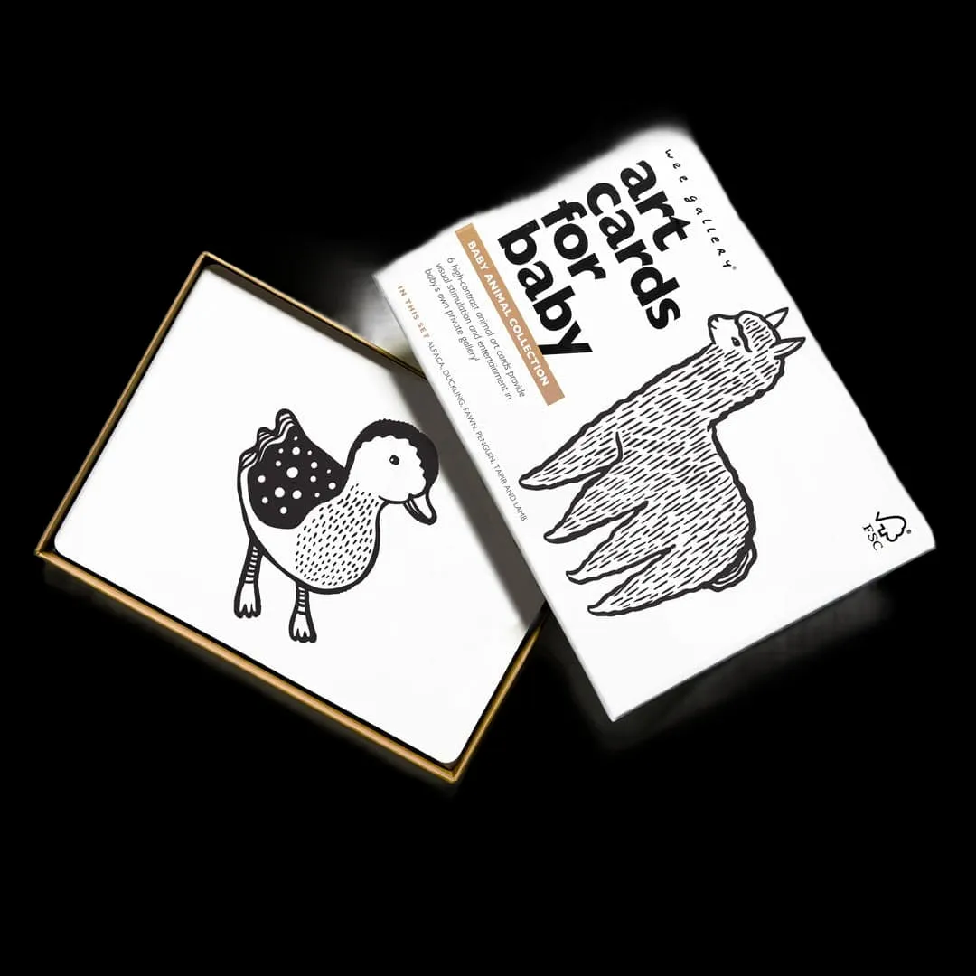 Art Cards For Baby - Baby Animals Collection