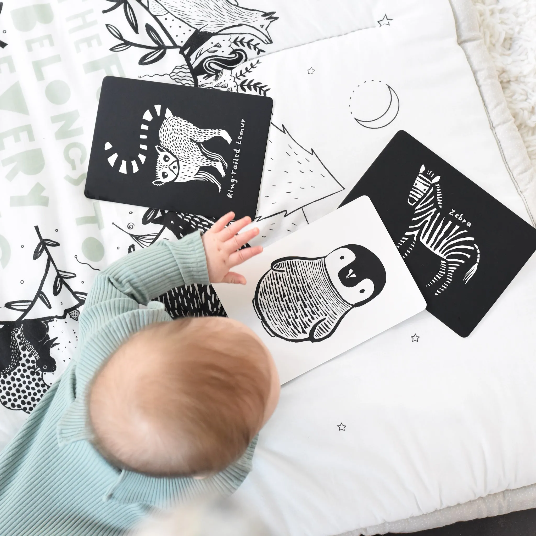 Art Cards For Baby - Black And White Collection