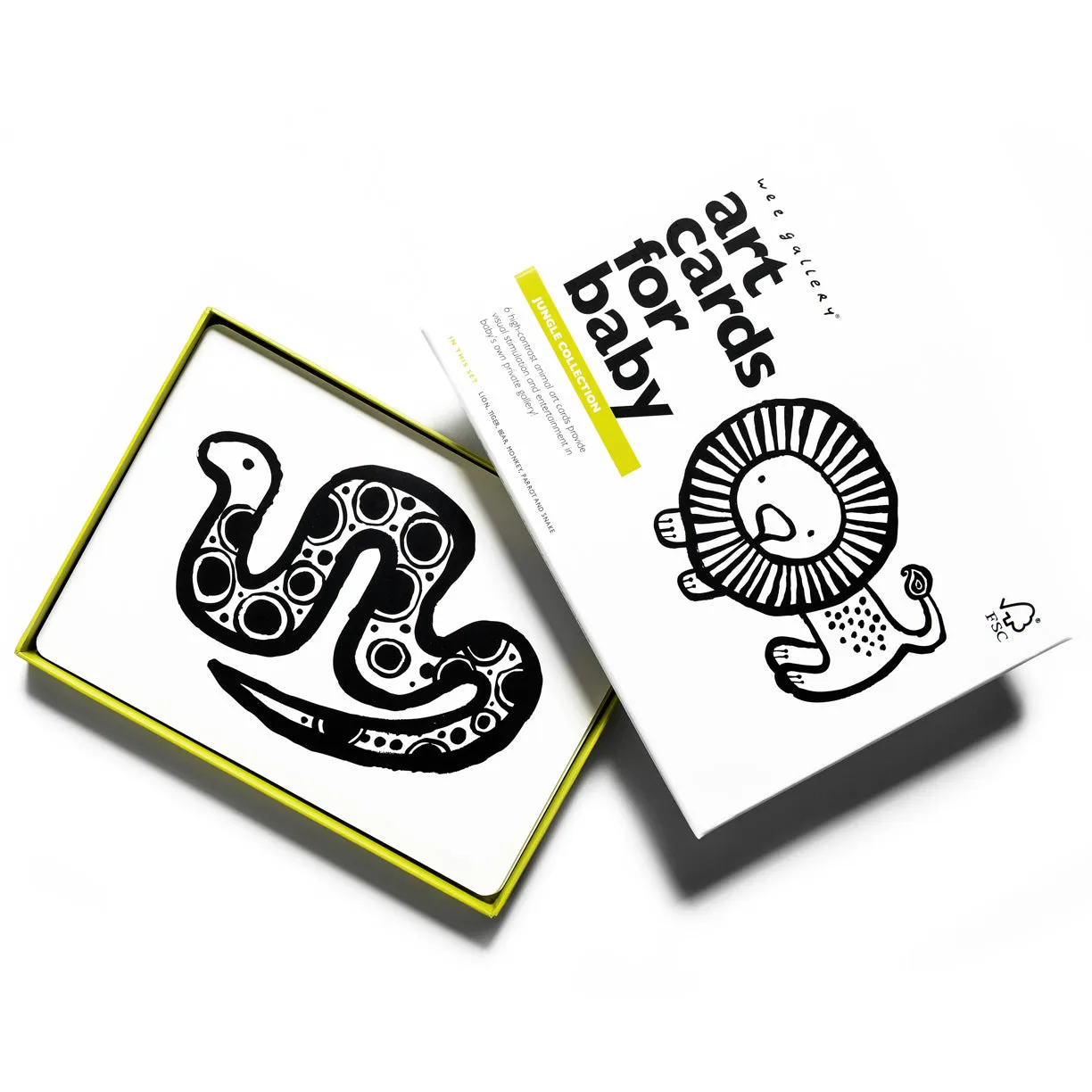 Art Cards For Baby - Jungle Collection