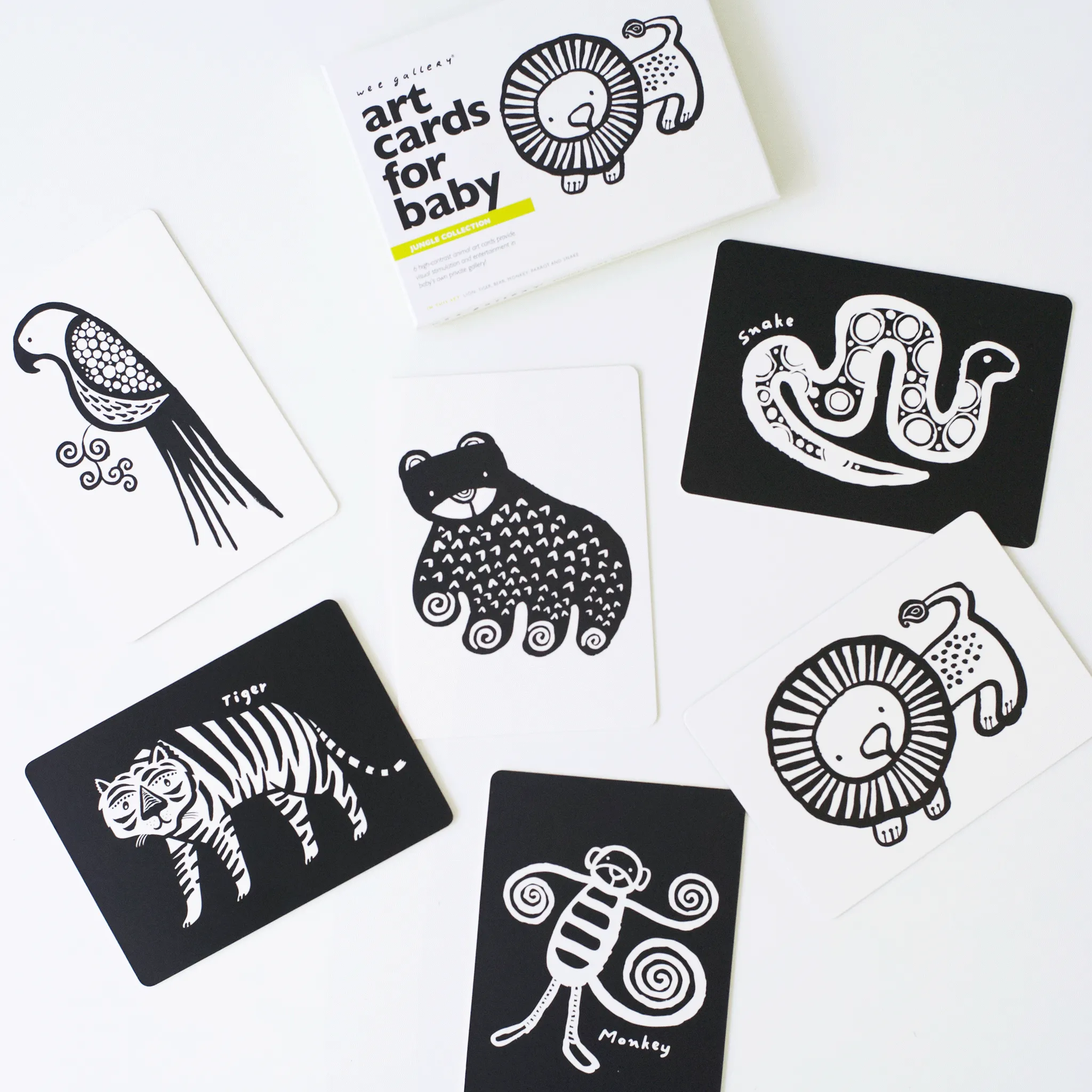 Art Cards For Baby - Jungle Collection
