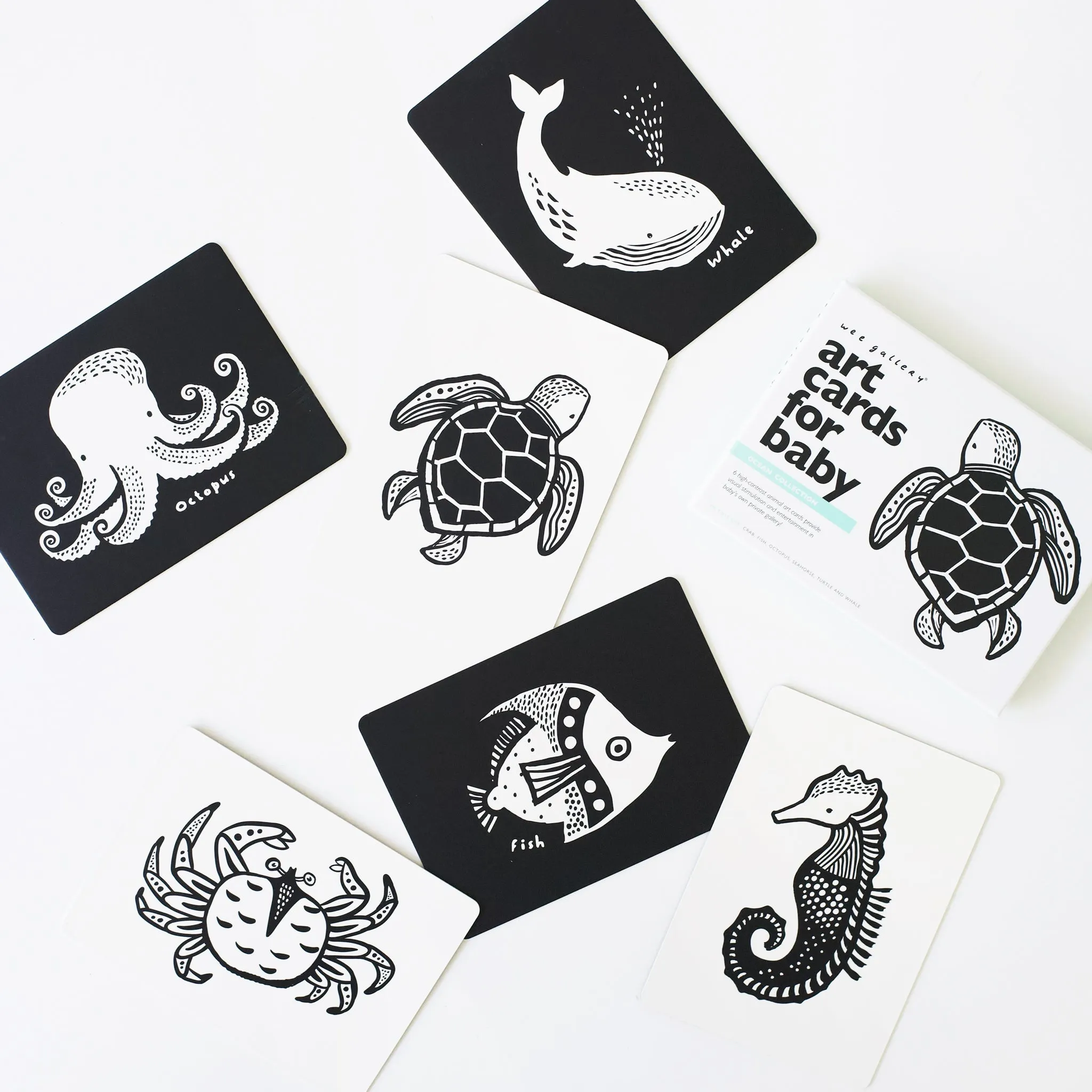 Art Cards For Baby - Ocean Collection