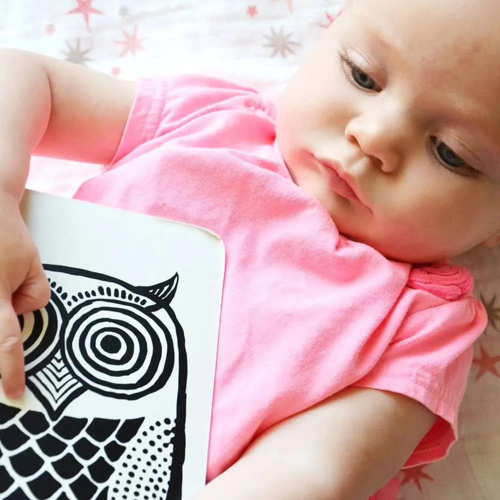 Art Cards For Baby - Pets Collection