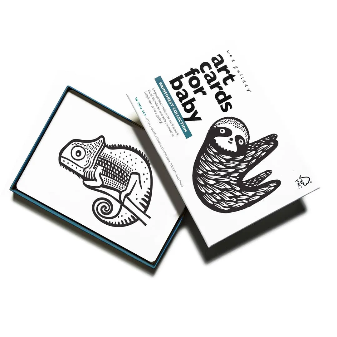 Art Cards For Baby - Rainforest Collection