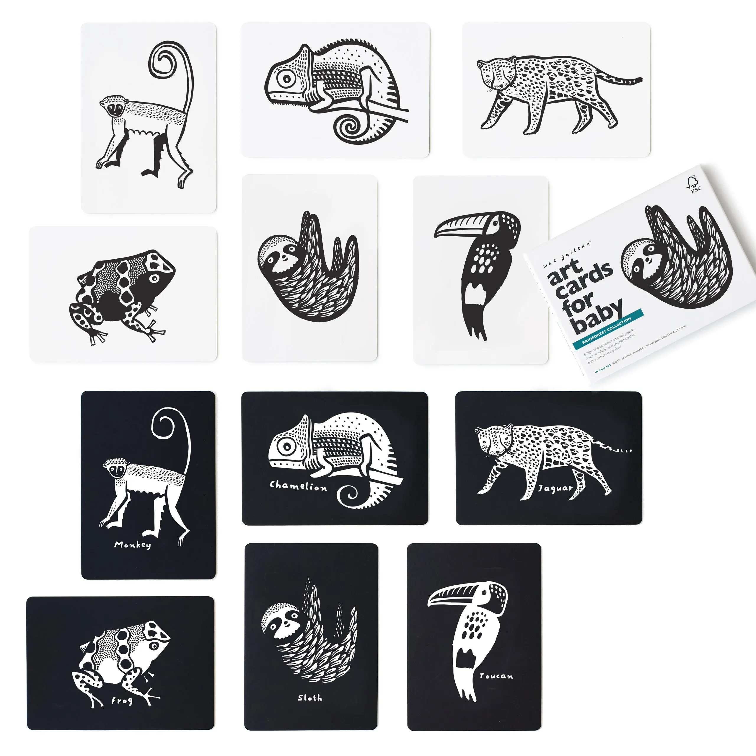 Art Cards For Baby - Rainforest Collection