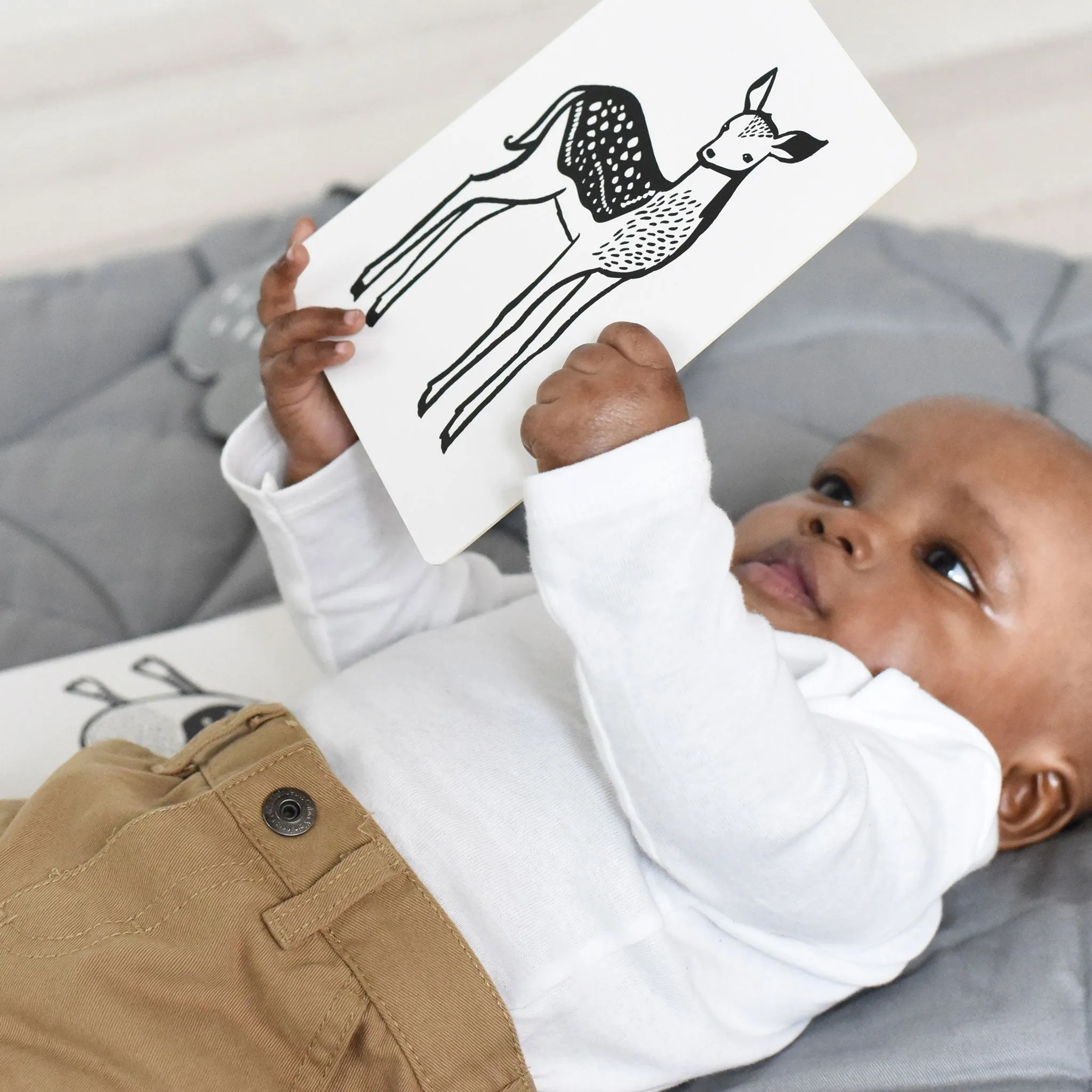 Art Cards For Baby - Safari Collection
