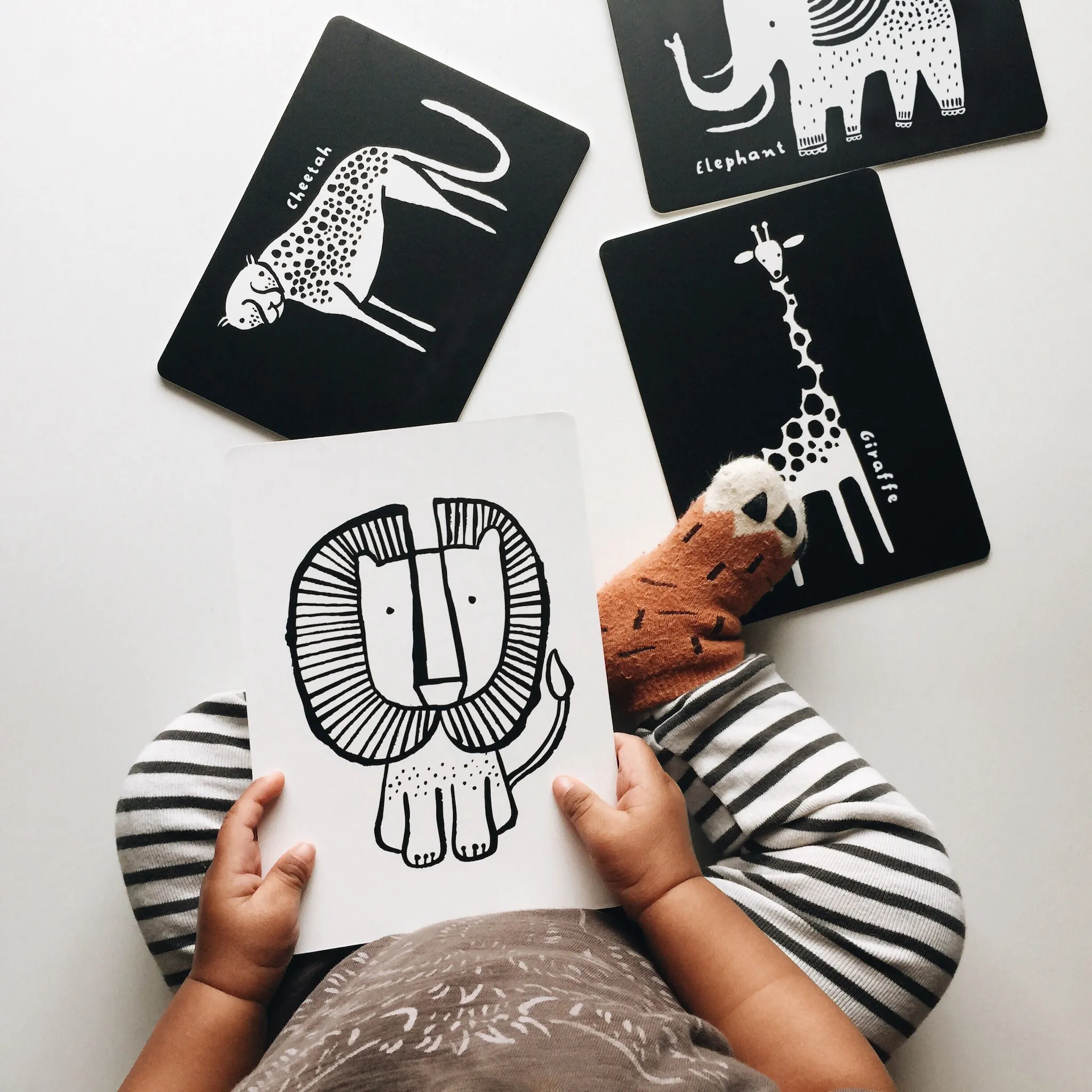 Art Cards For Baby - Safari Collection