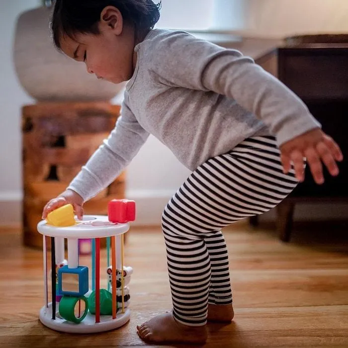 Baby Einstein Zen & Cal’s Playground Sensory Shape Sorter Babykids Einstein
