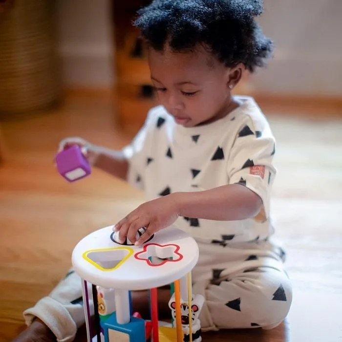 Baby Einstein Zen & Cal’s Playground Sensory Shape Sorter Babykids Einstein