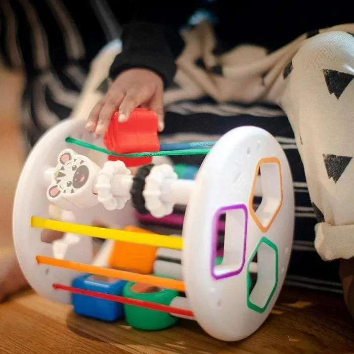 Baby Einstein Zen & Cal’s Playground Sensory Shape Sorter Babykids Einstein