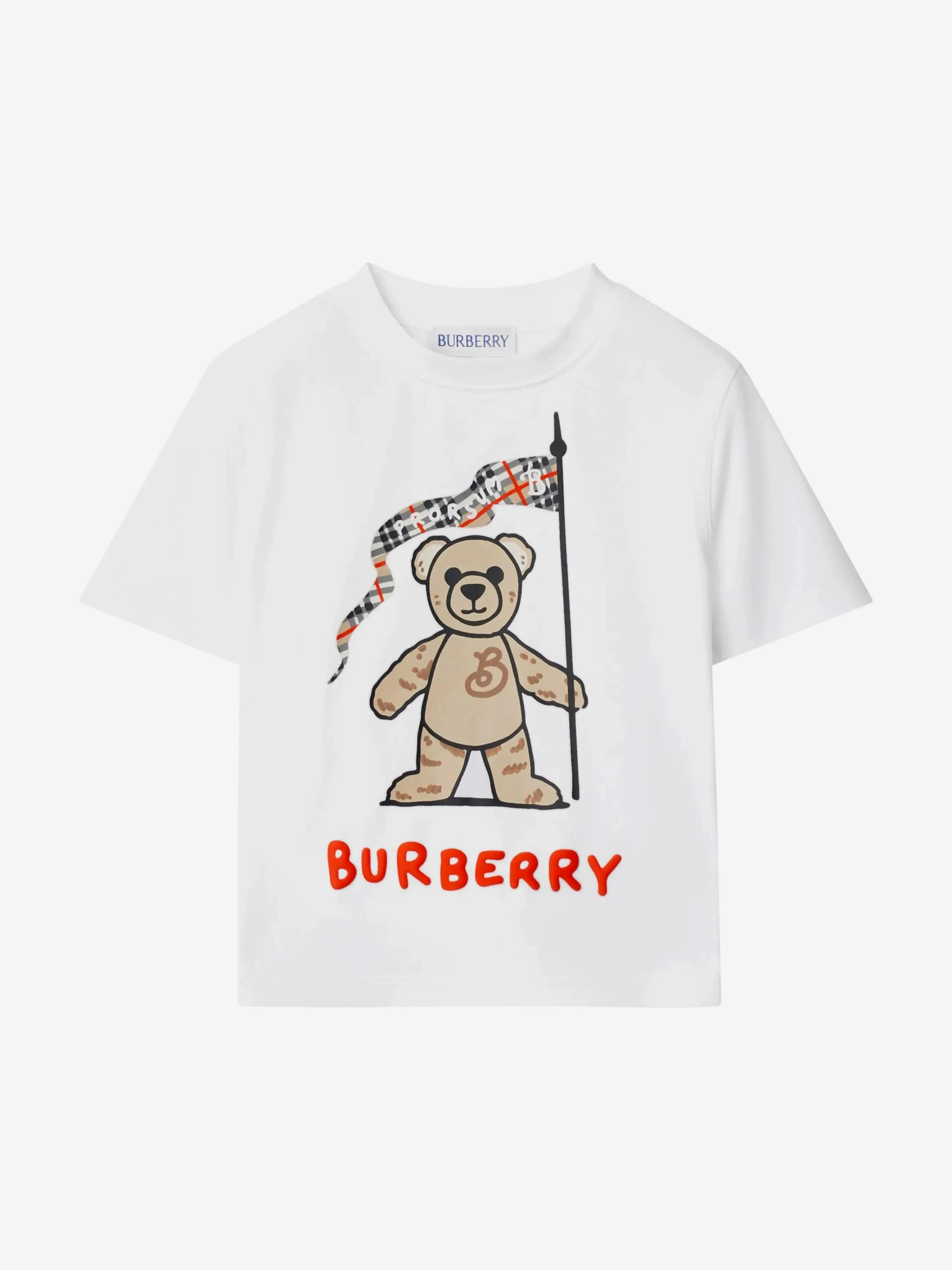 Baby Girls Cedar Bear Flag T-Shirt in White