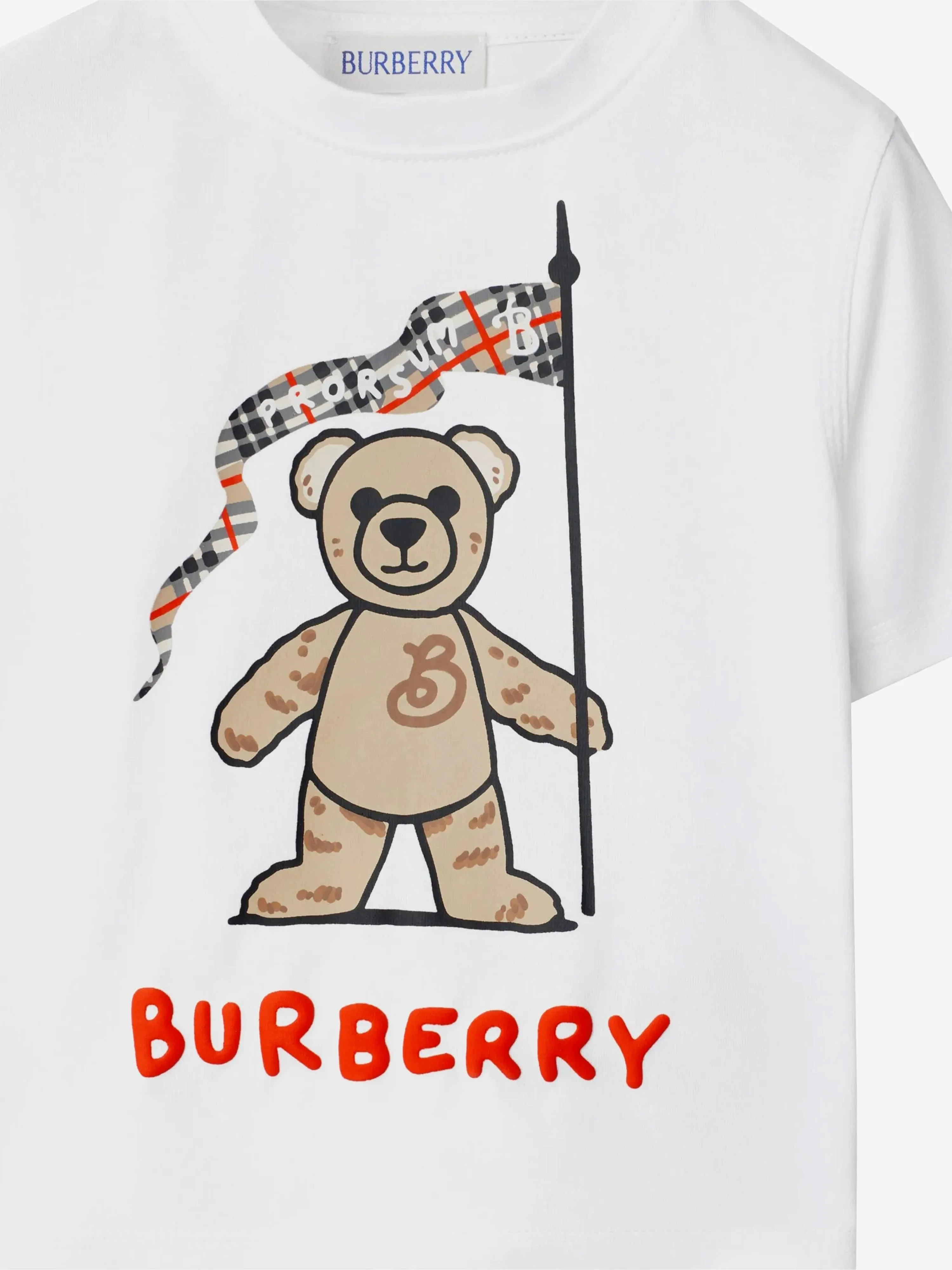 Baby Girls Cedar Bear Flag T-Shirt in White