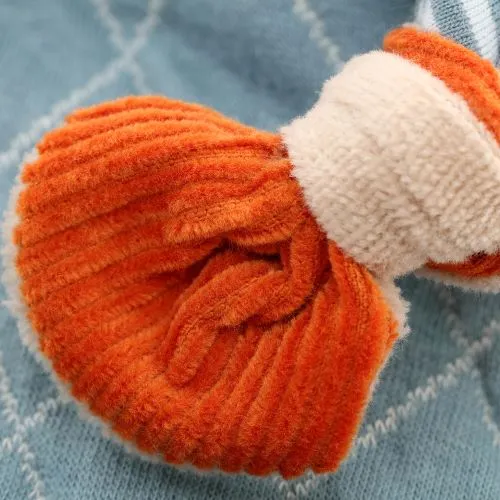 Baby Lion Comforter