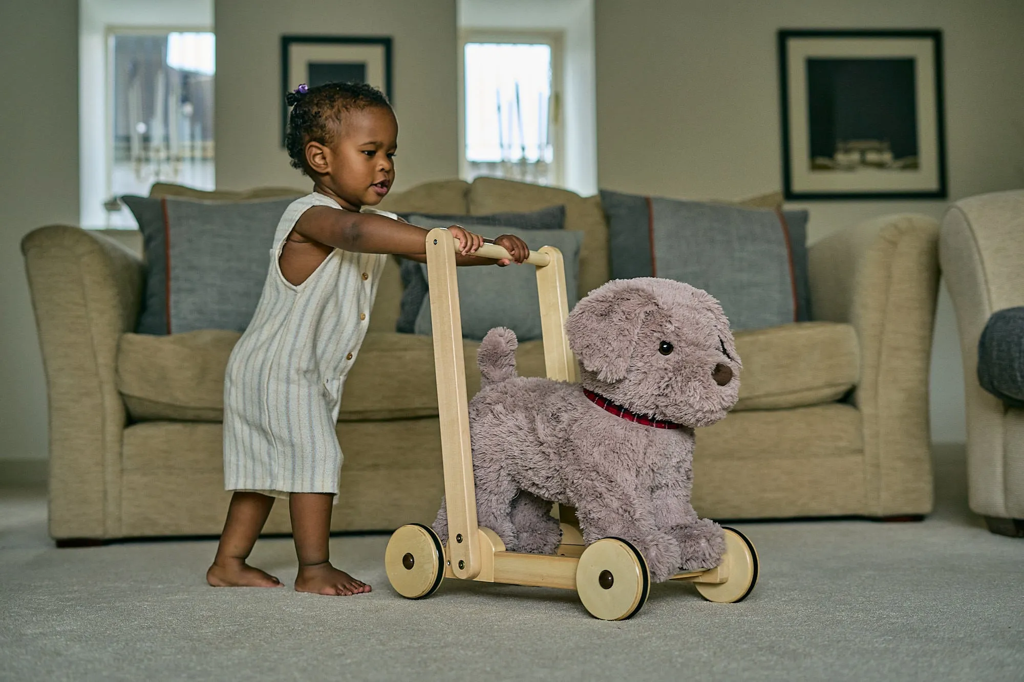 Bailey Dog Baby Walker
