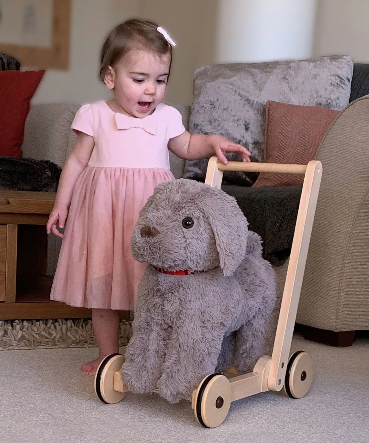 Bailey Dog Baby Walker