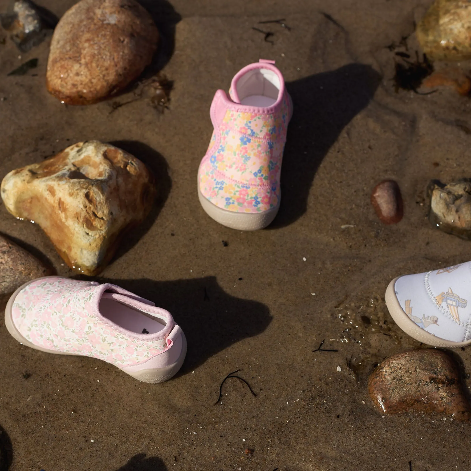 Beach Shoe Shawn - swim club