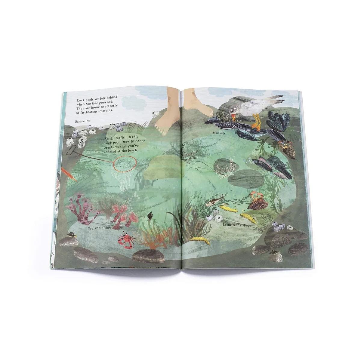 big sticker book of the blue
