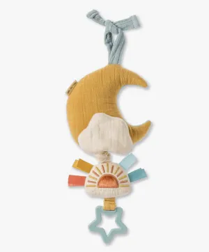 Bitzy Notes Pull Music Toy