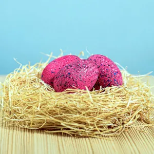 Bumbu Toys Spinosaurus Eggs SET
