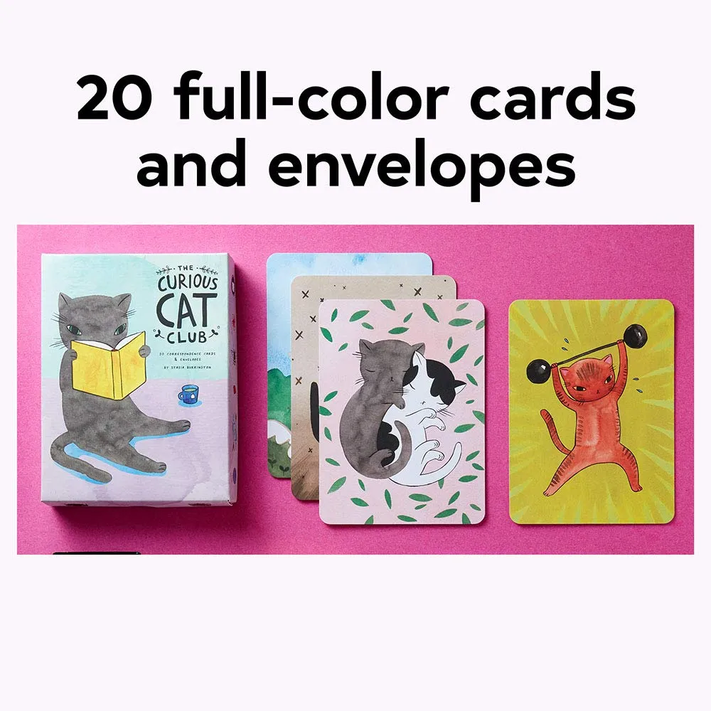 curious cat club correspondence cards