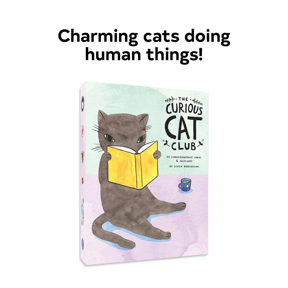 curious cat club correspondence cards