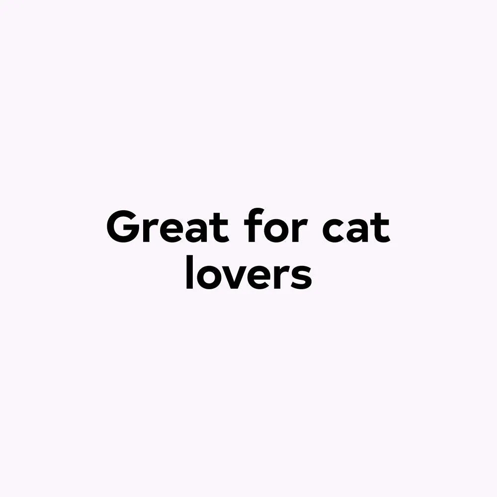 curious cat club correspondence cards