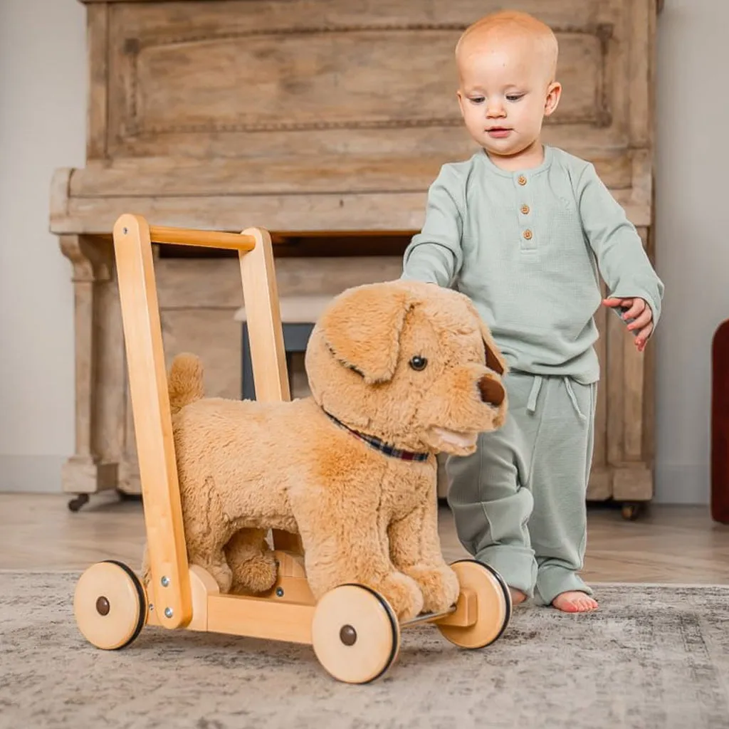 Dexter Dog Baby Walker
