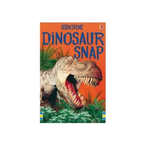 Dinosaur Snap Cards