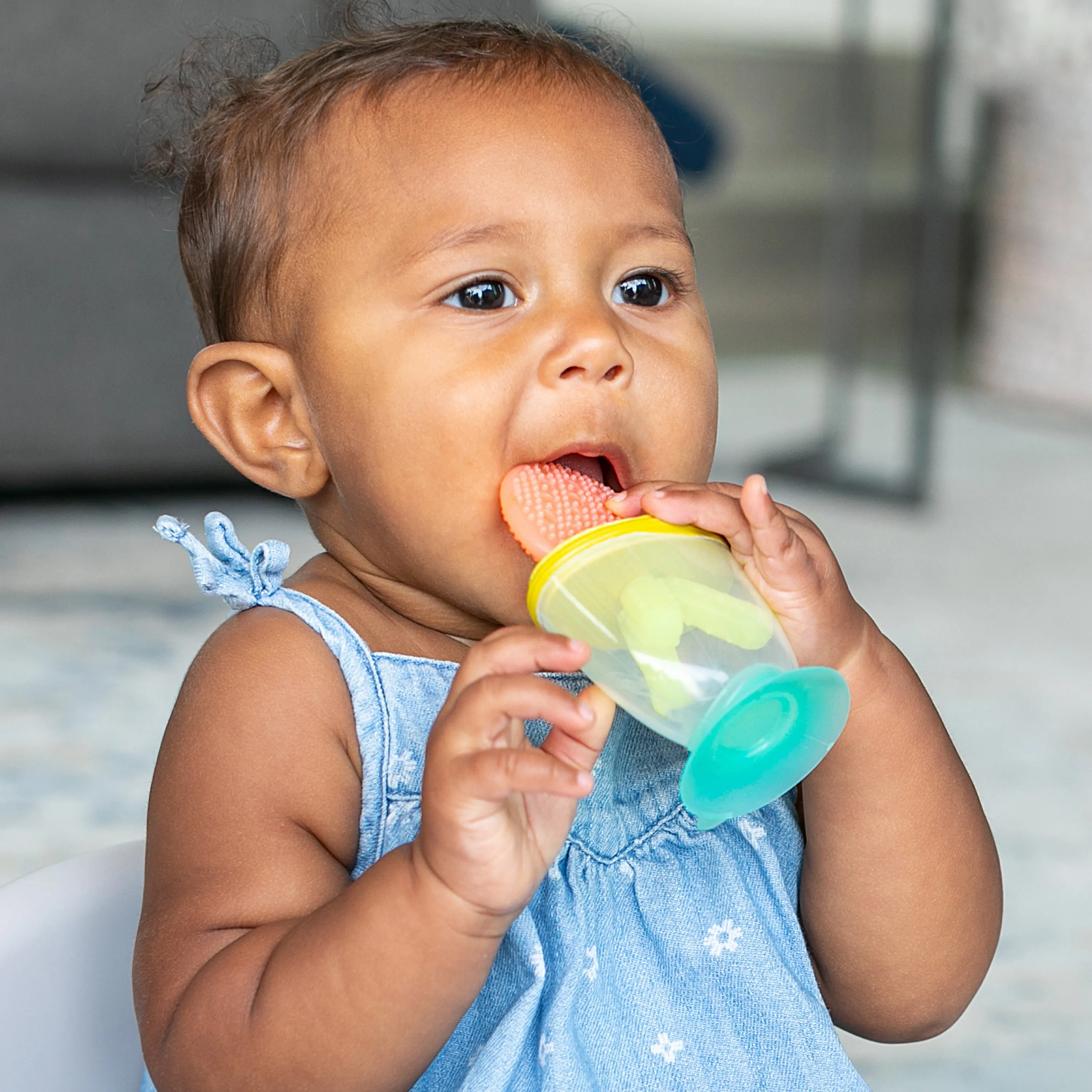 Dip & Taste Teethers