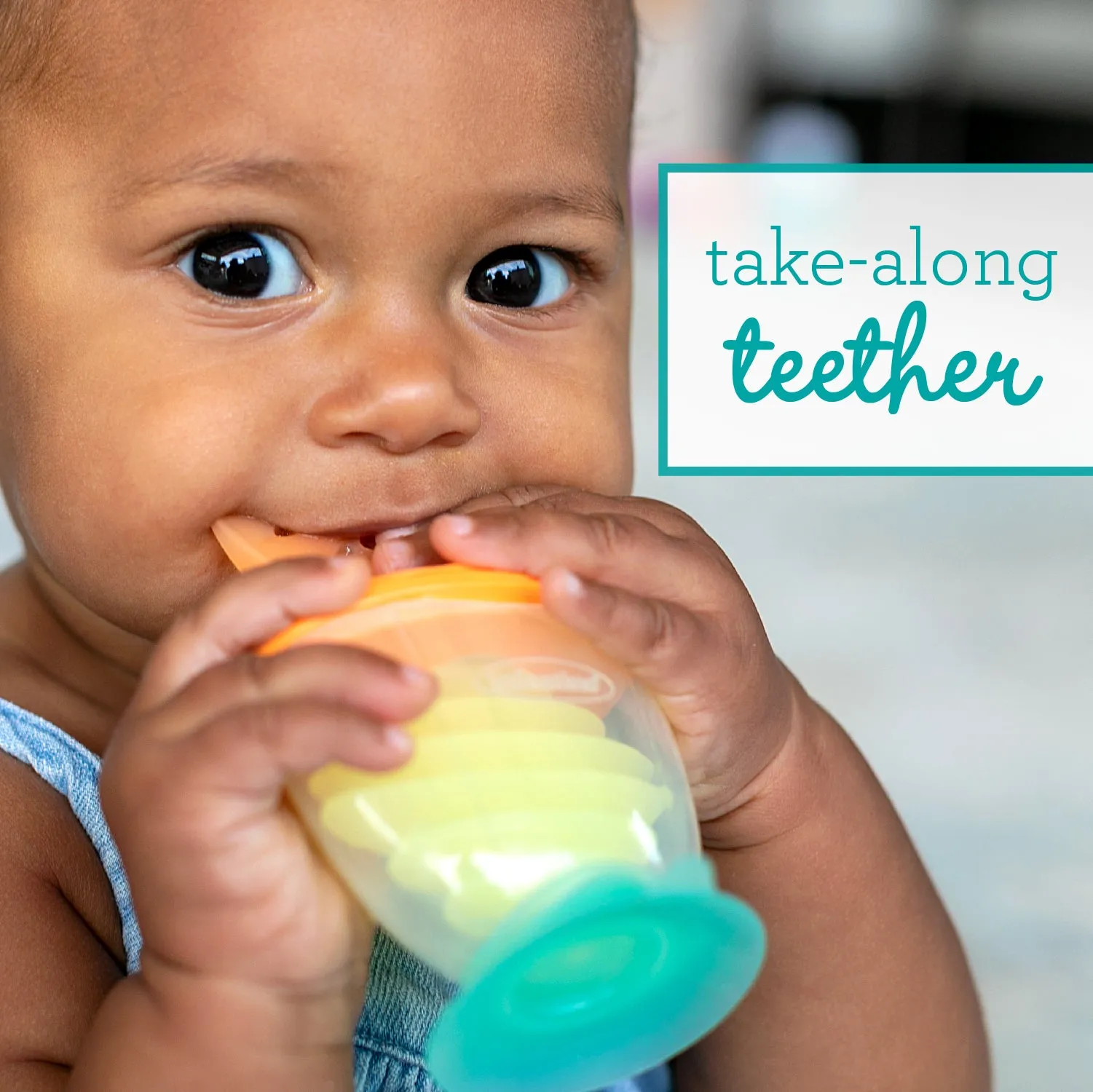 Dip & Taste Teethers