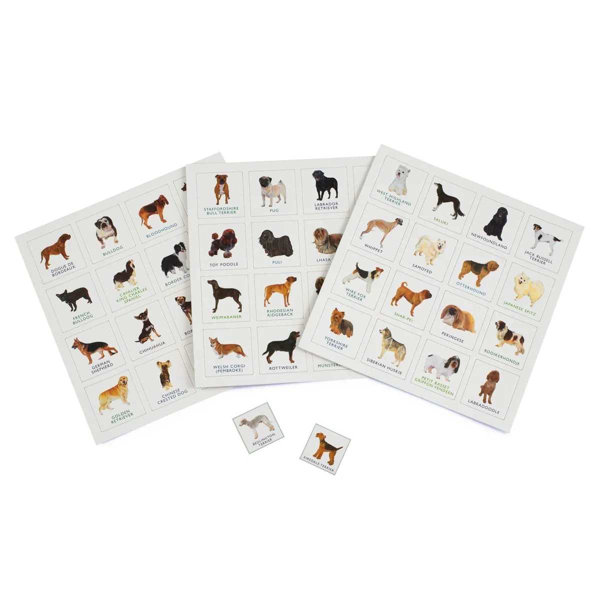 dog bingo