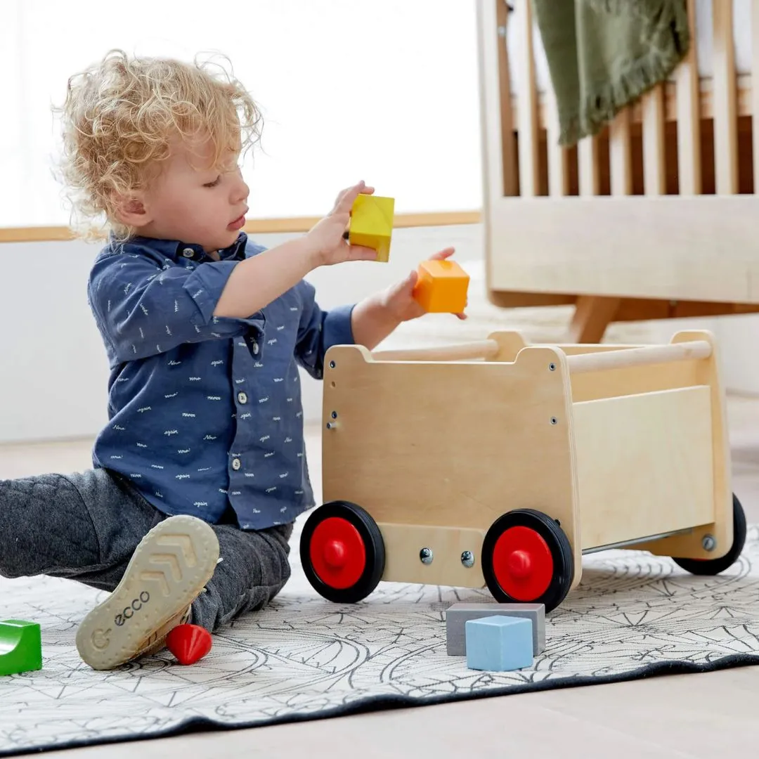 Dragon Wagon Baby Walker