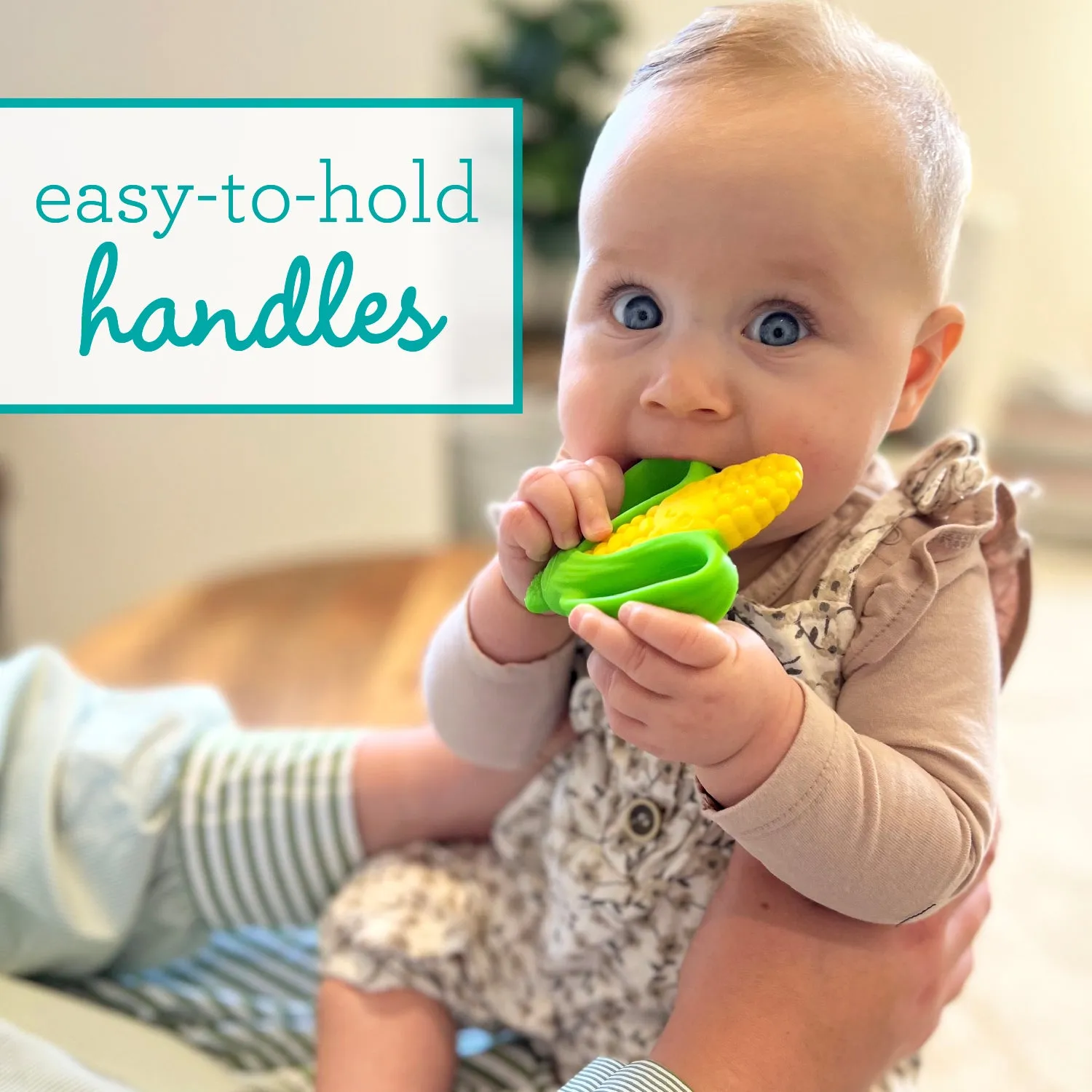 Farmers Market Teether Gift Set