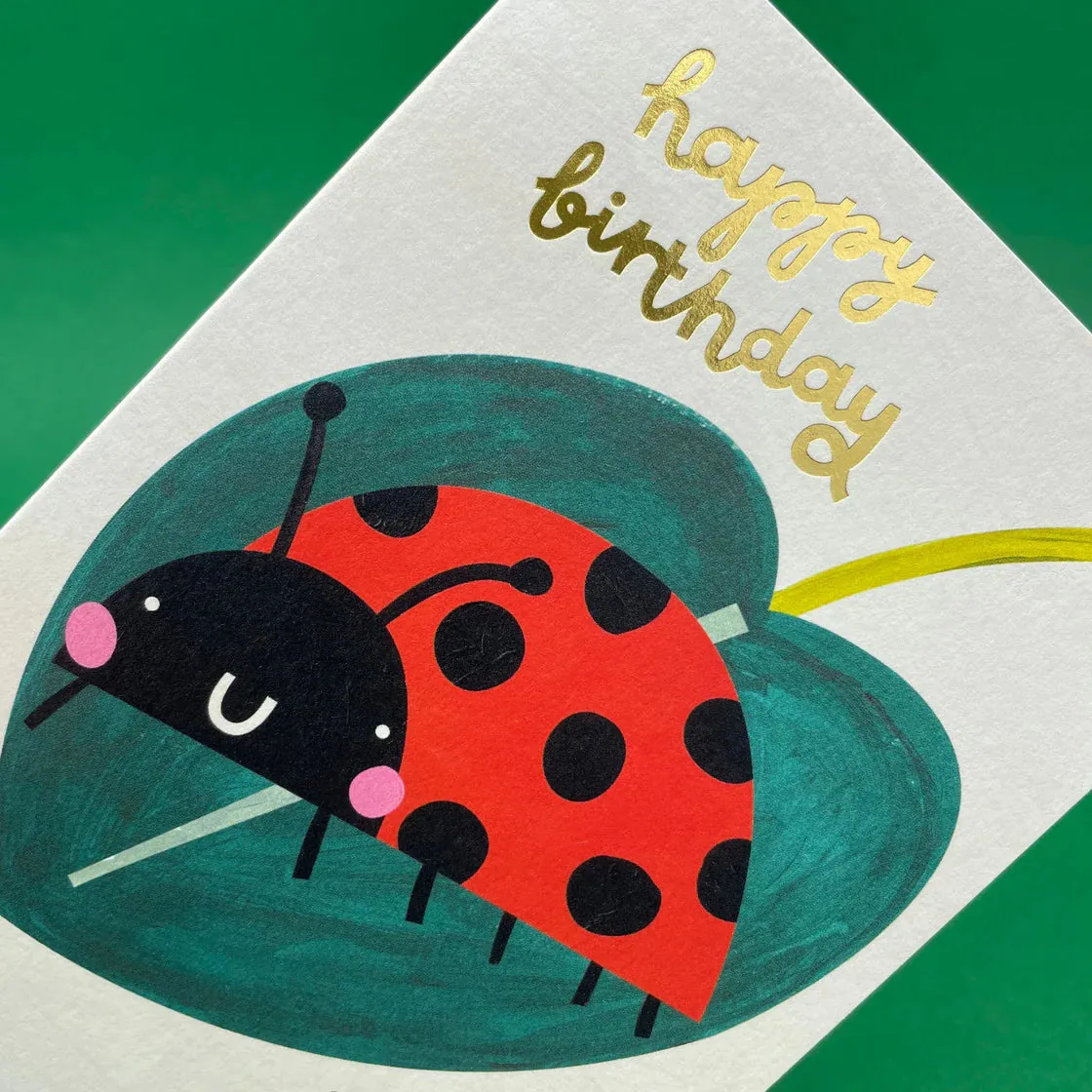 'Happy Birthday'  Ladybird Birthday Card