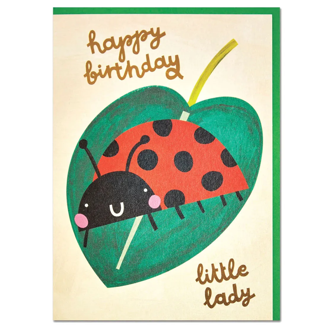 'Happy Birthday'  Ladybird Birthday Card