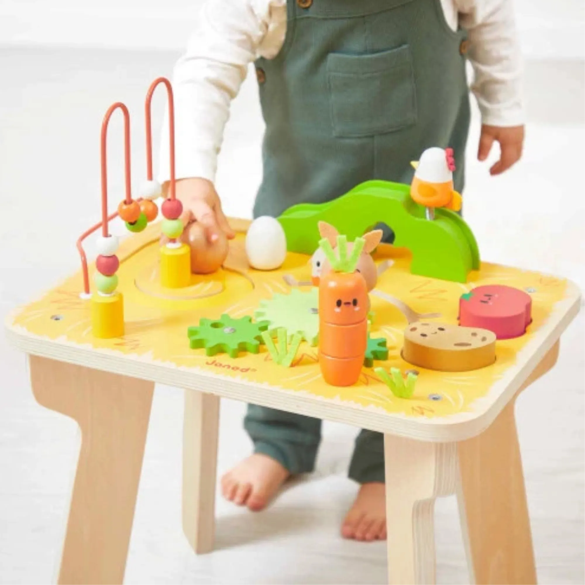 JANOD Farm Activity Table
