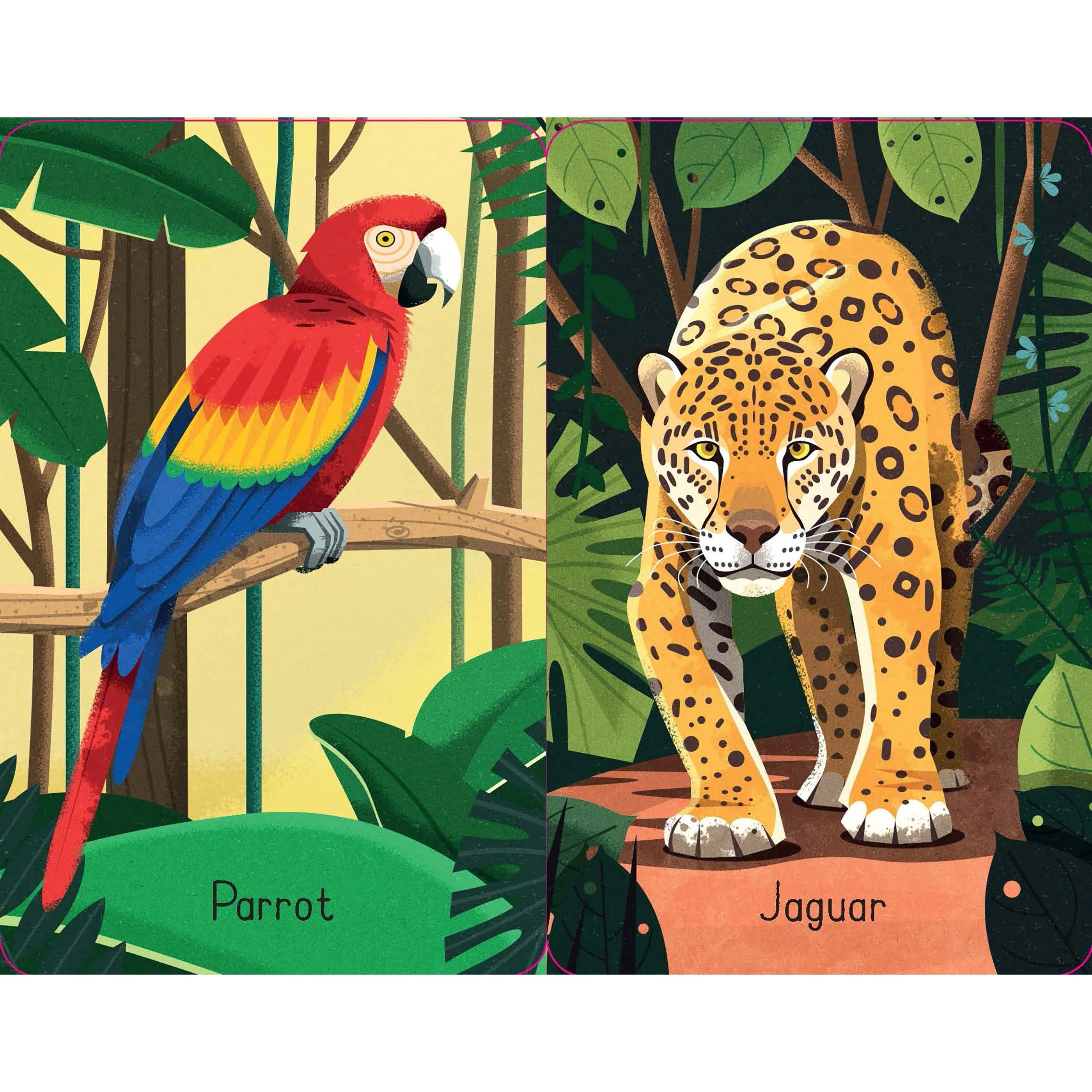 Jungle Snap Cards