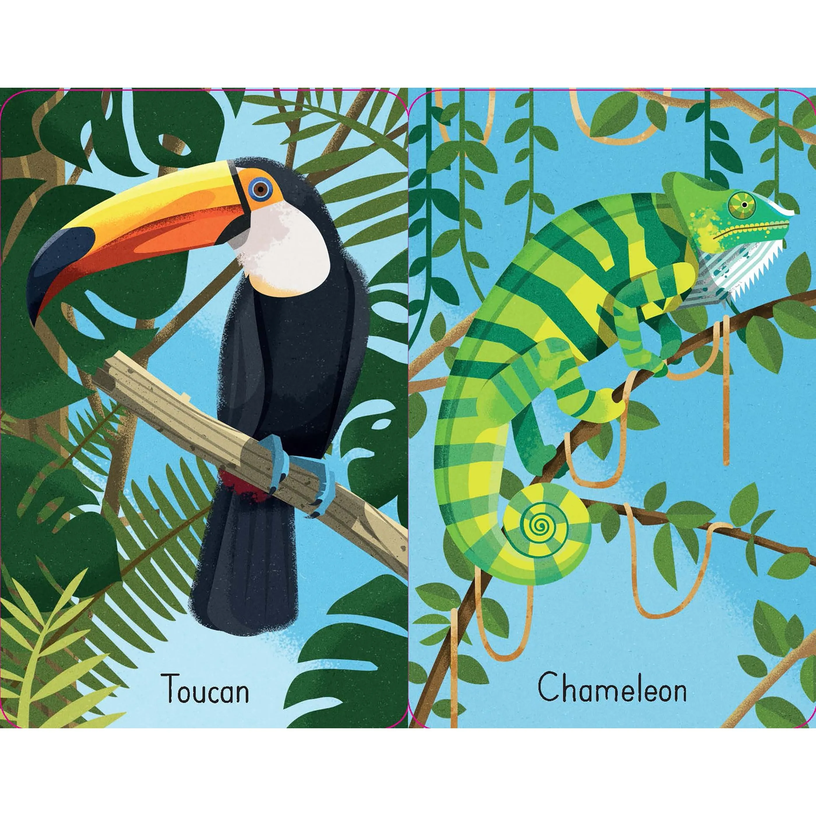 Jungle Snap Cards