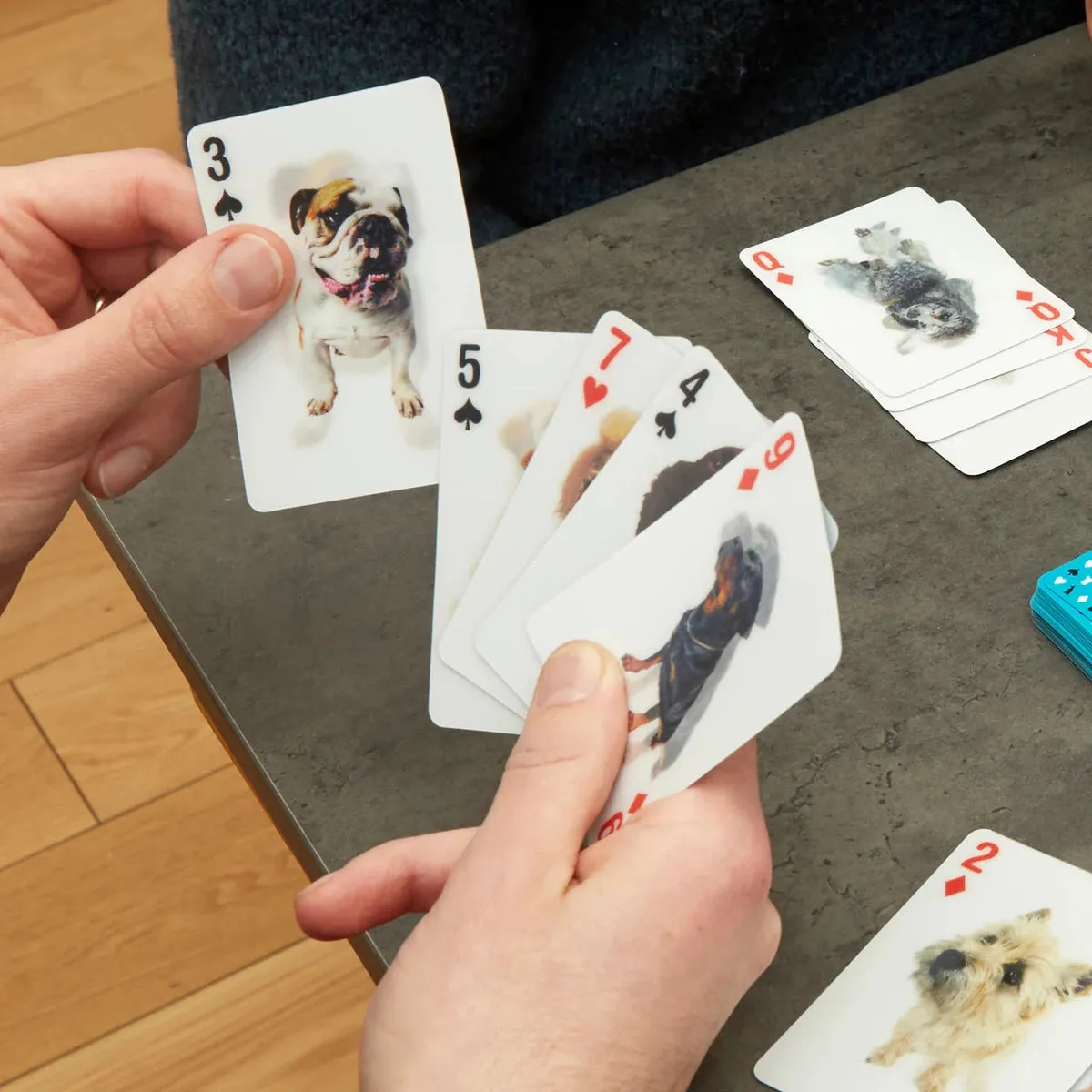 Kikkerland dogs 3D playing cards