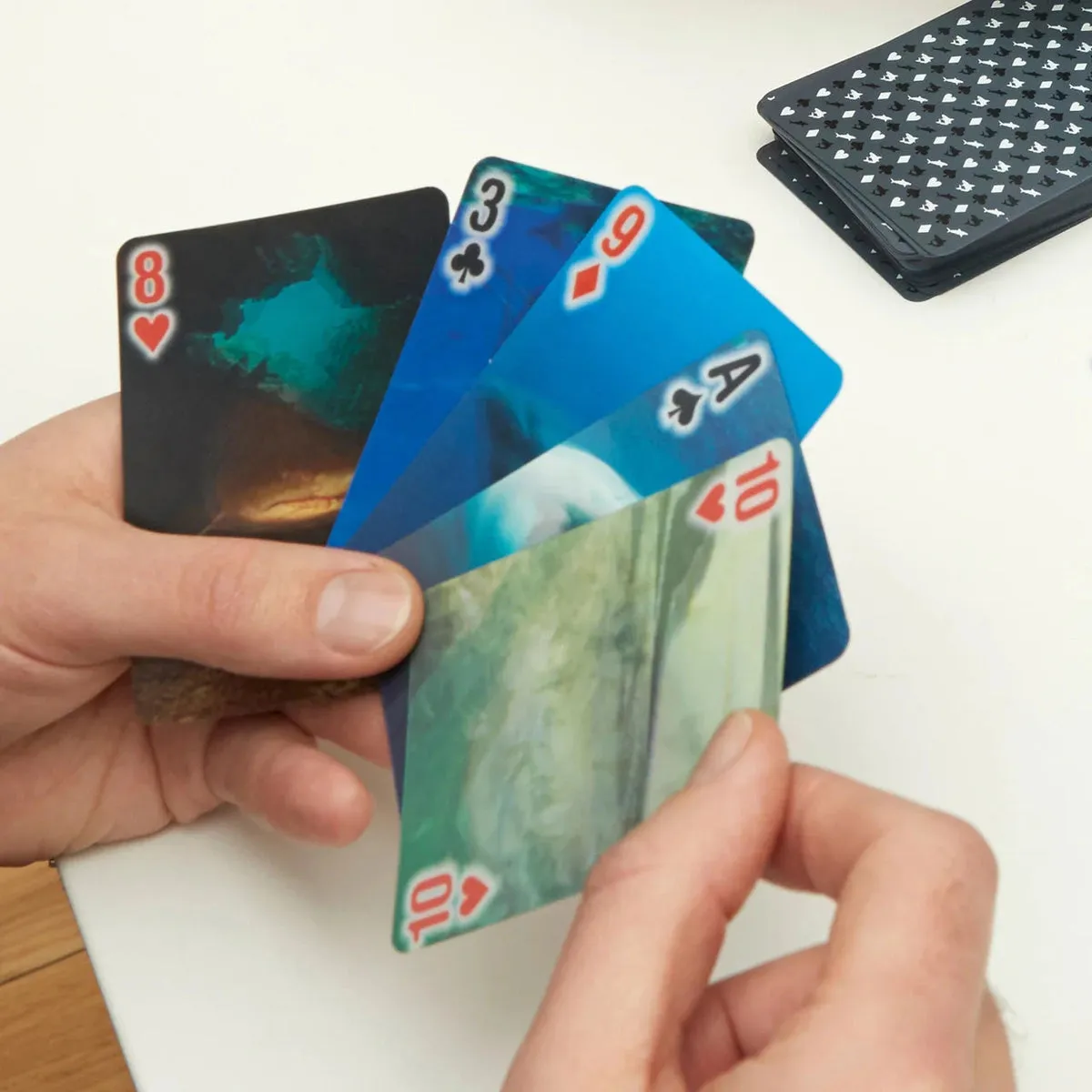 Kikkerland sharks playing cards