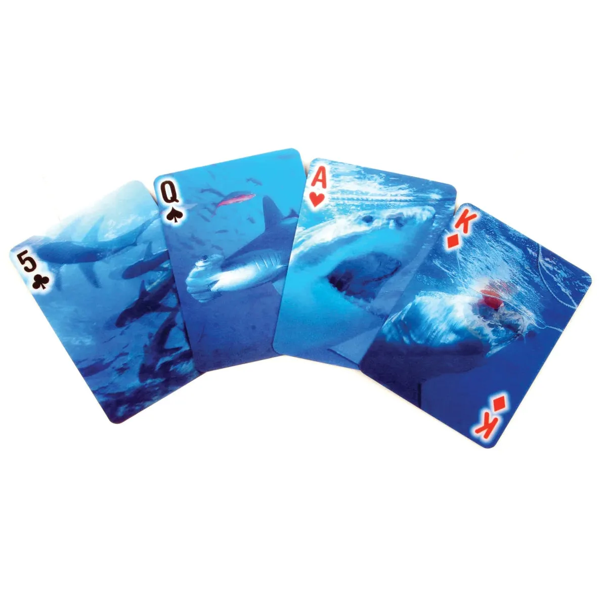 Kikkerland sharks playing cards