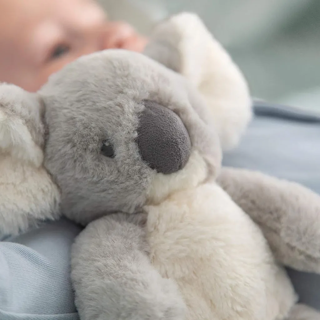 Kodi Koala Soft Toy
