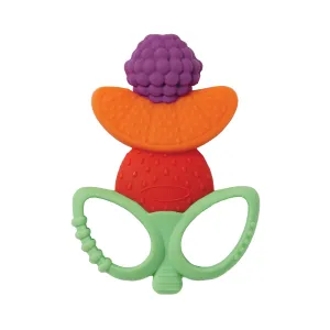 Lil' Nibbles Textured Silicone Teether - Fruit Kabob