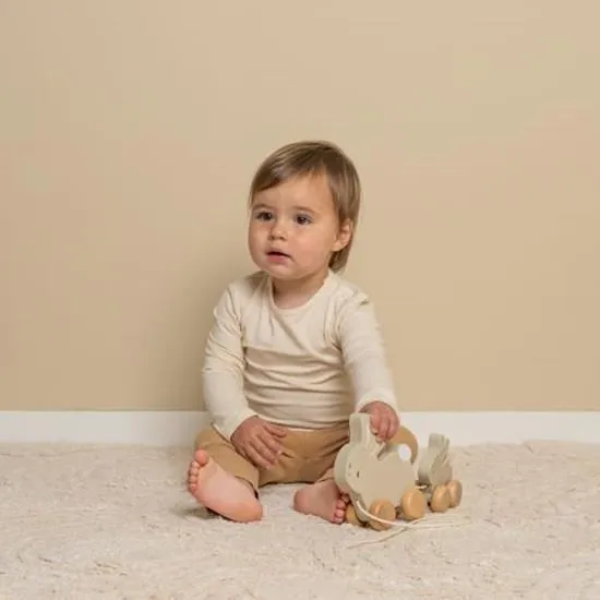 Little Dutch, Pull Along Bunny