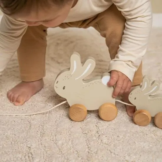 Little Dutch, Pull Along Bunny